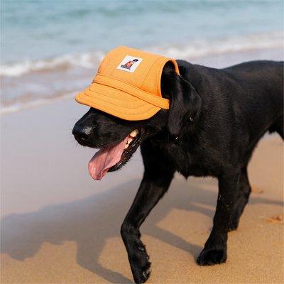 casquette pour chiens visière légère