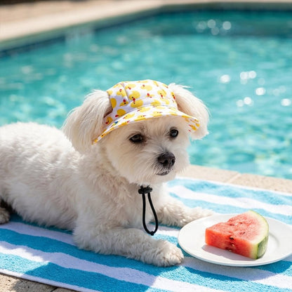 casquettes chien légères avec cordon réglable