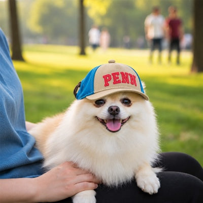 casquettes pour chiens réglables confortables