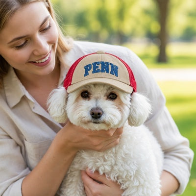 casquettes pour chiens sorties extérieures