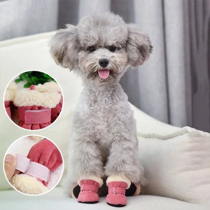 chaussure chien avec sangle réglable