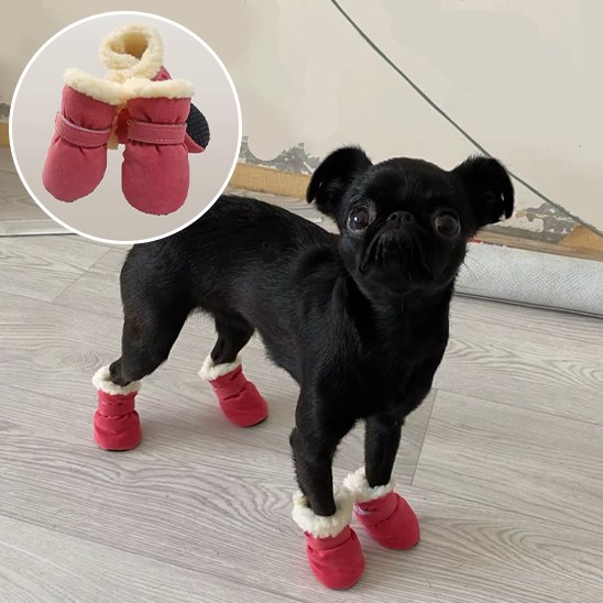 chaussure chien confort pattes