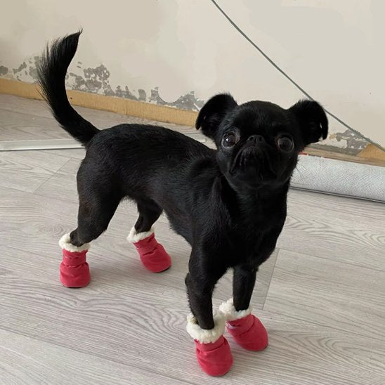 chaussure chien doublure douce