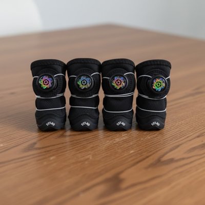 chaussure chien lacets rapides ajustables 