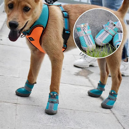 chaussure chien neige botte réfléchissante