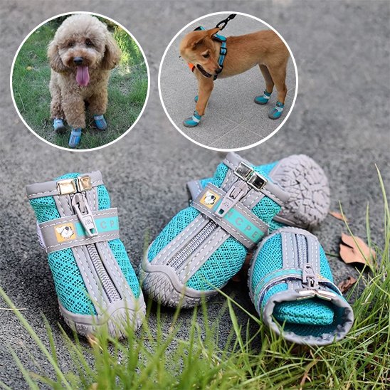 chaussure chien neige botte respirante