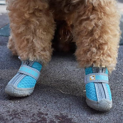 chaussure chien neige confort hivernal