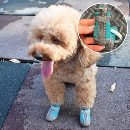 chaussure chien neige protection pattes