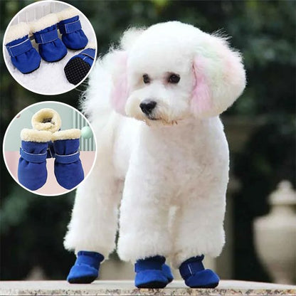 chaussure chien semelle antidérapante