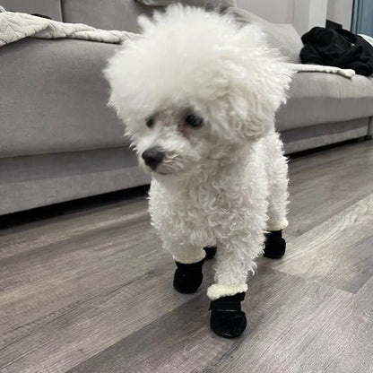 chaussure chien souple et chaude