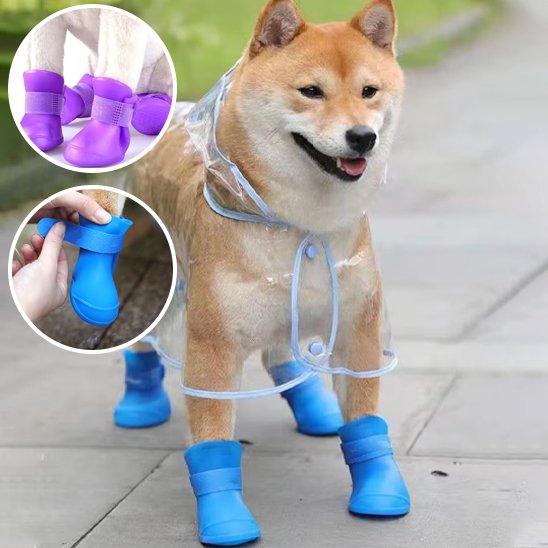 chaussure chiens imperméable pour promenade