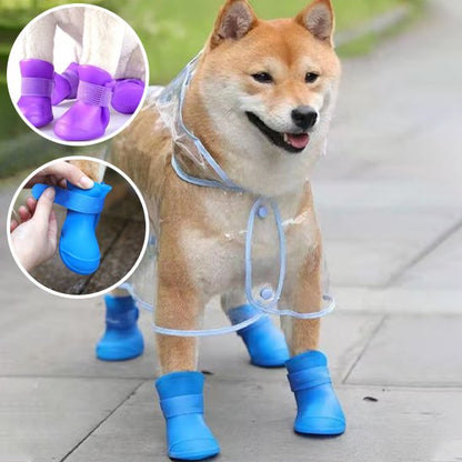 chaussure chiens imperméable pour promenade