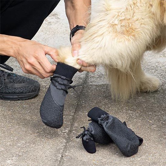 chaussure chiens imperméable respirante