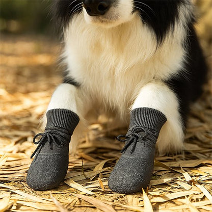chaussure chiens maille respirante antidérapante