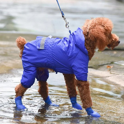 chaussure chiens protection des pattes