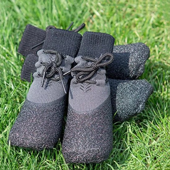 chaussure chiens protection pattes extérieur