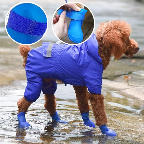 chaussure chiens protectrice sol humide
