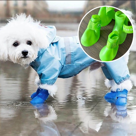 chaussure chiens semelle souple antidérapante