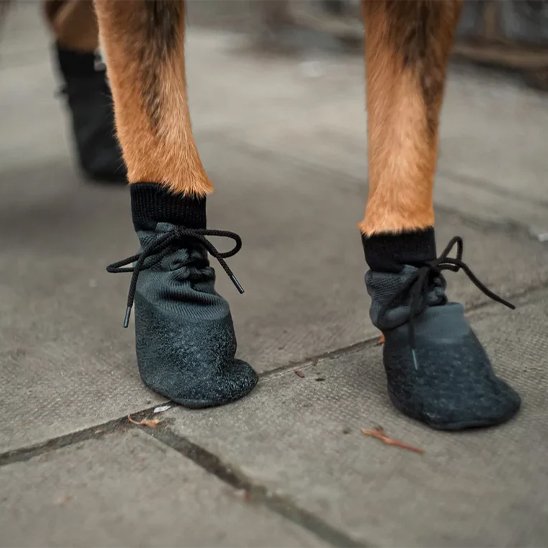 chaussure chiens semelle souple confort 