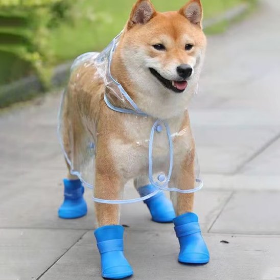 chaussure chiens souple pour promenade