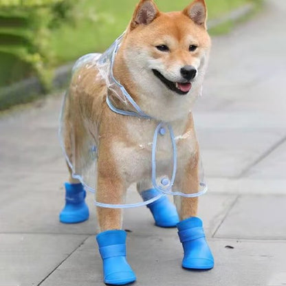 chaussure chiens souple pour promenade