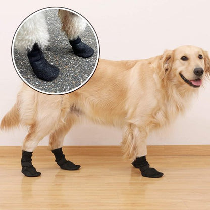 chaussure neige chien pattes protégées
