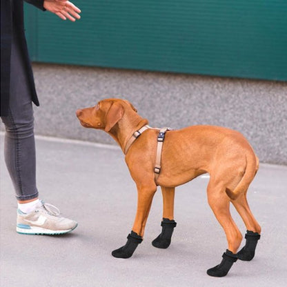 chaussure neige chien protection pattes