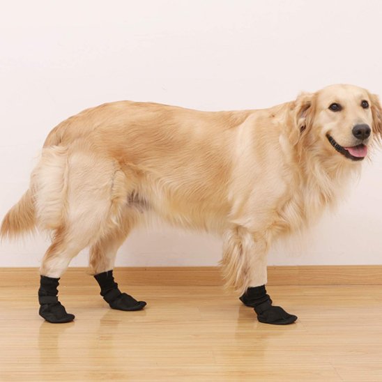 chaussure neige chien semelle antidérapante