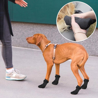 chaussure neige chien semelle souple