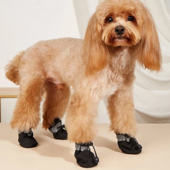 chaussures chiens avec bande réfléchissante