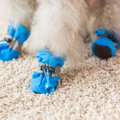 chaussures chiens confortables en hiver