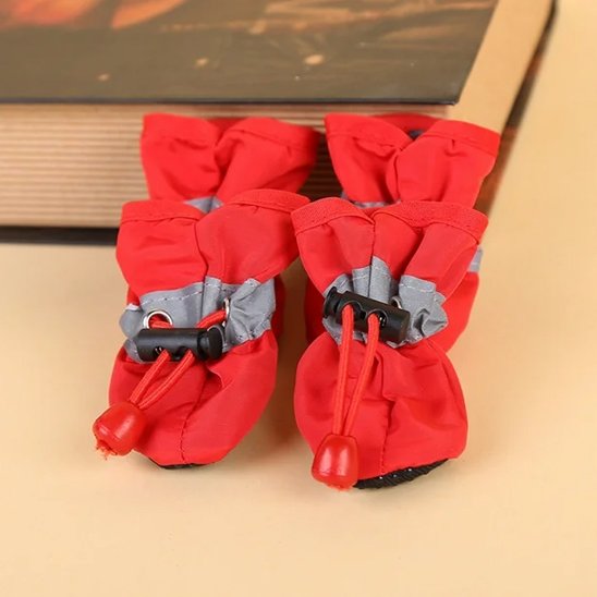 chaussures chiens semelle antidérapante