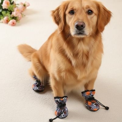 chaussures pour chien semelle antidérapante