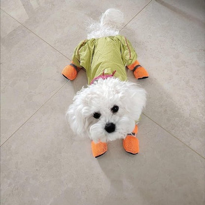 chaussures pour chiens balades extérieures