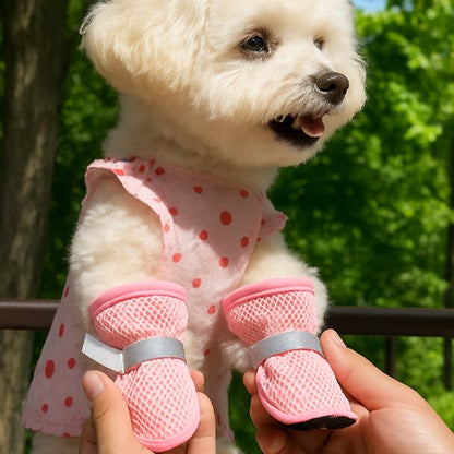 chaussures pour chiens pattes protégées