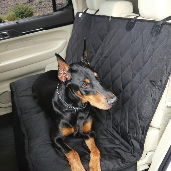 chien allonge sur housse voiture chien