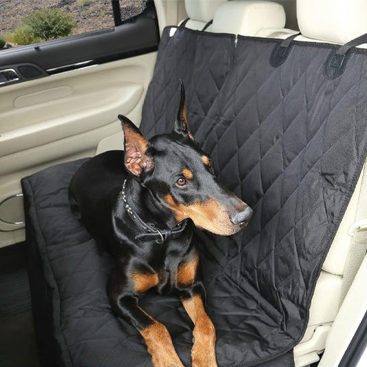 chien allonge sur housse voiture chien
