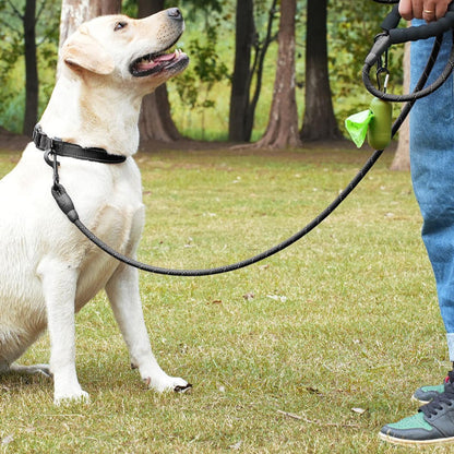 chien assis avec laisse pour chien