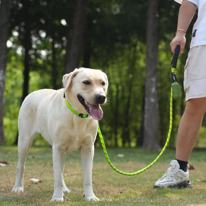 chien au parc avec laisse pour chien