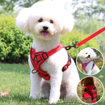 chien avec harnais anti traction pour chien rouge