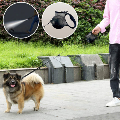 chien avec laisse pour chien enrouleur éclairante