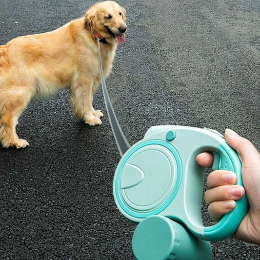 chien avec laisse pour chien enrouleur