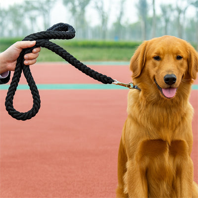 chien avec laisse pour chien tresse noir