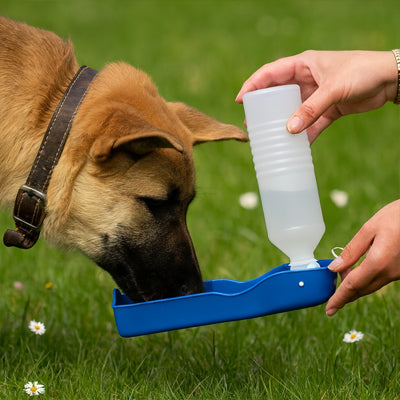 chien boit dans gourde pour chien bleu