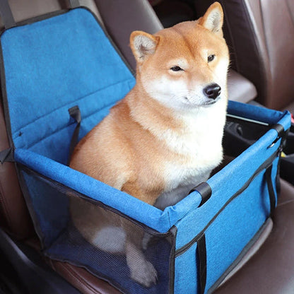 chien confortable dans siege auto pour chien