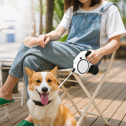 chien couche avec laisse pour chien enrouleur