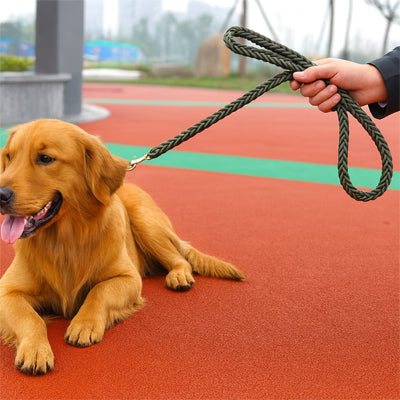 chien couche avec laisse pour chien tresse