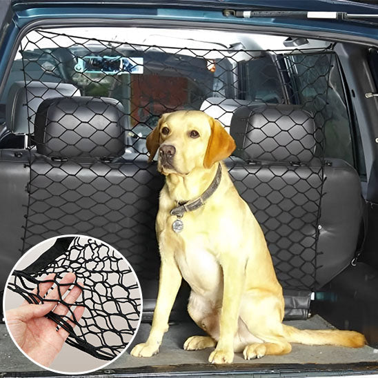 chien dans coffre isole avec filet pour chien voiture