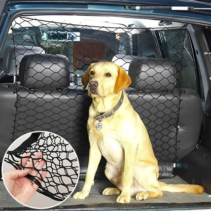 chien dans coffre isole avec filet pour chien voiture