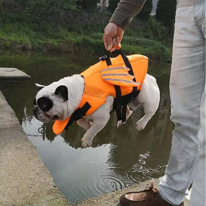chien gilet de sauvetage avec poignée
